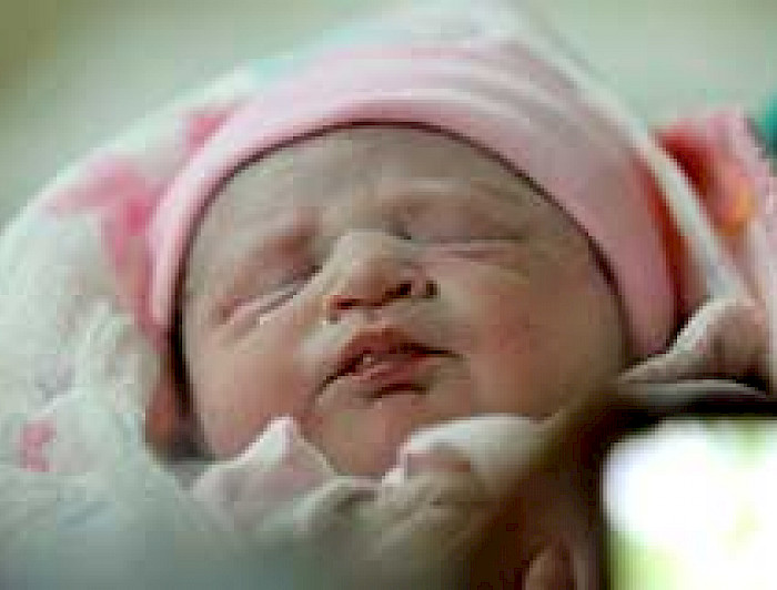 imagen correspondiente a la noticia: "Una mirada amplia de la Vida"