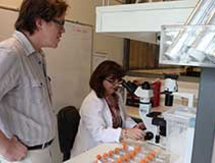 imagen correspondiente a la noticia: "Universidad Católica se adjudica cinco proyectos de cooperación entre Chile y Reino Unido"