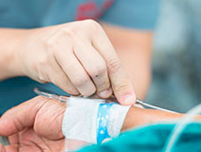 imagen correspondiente a la noticia: "Crean nuevo algoritmo computacional para mejorar seguridad de anestesias"