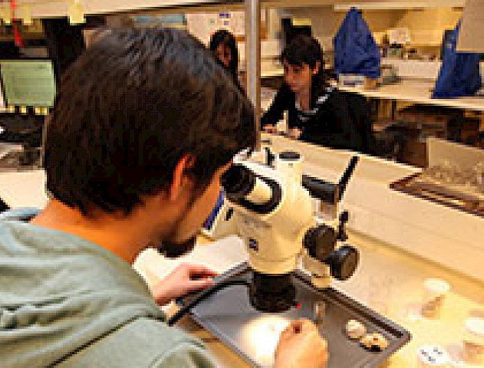 imagen correspondiente a la noticia: "Institutos Milenios de la UC renuevan su funcionamiento por un nuevo período"