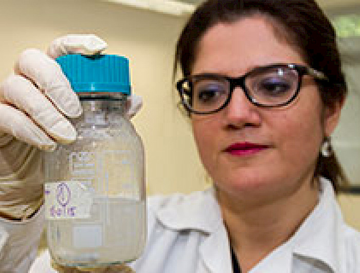 imagen correspondiente a la noticia: "Aumentan vida útil de pescados frescos con recubrimientos naturales"