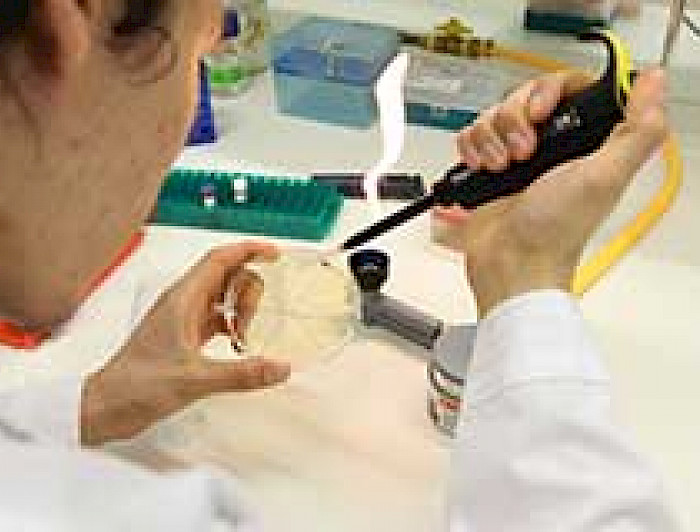 imagen correspondiente a la noticia: "Ministerio de Ciencias como  un primer paso para avanzar en investigación"