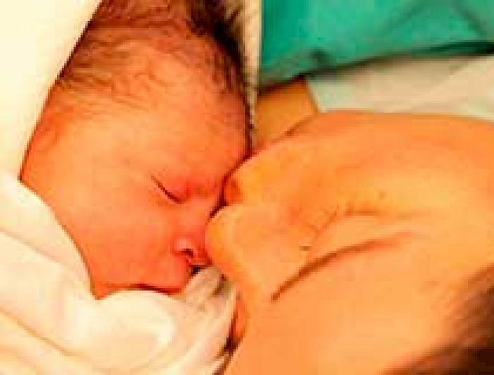 imagen correspondiente a la noticia: "Rector pide ampliar la objeción de conciencia a todo el equipo médico"