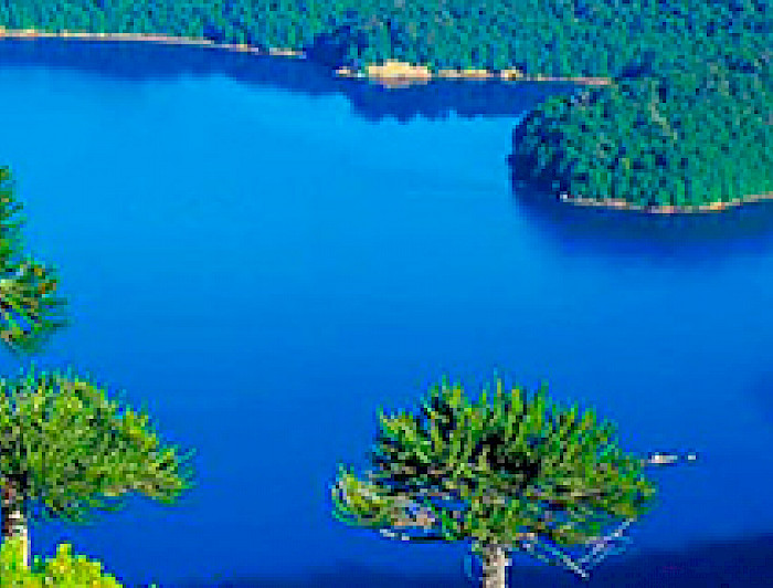 imagen correspondiente a la noticia: "Centro UC de Desarrollo Local inicia proyecto estratégico para el turismo en el sur de Chile"