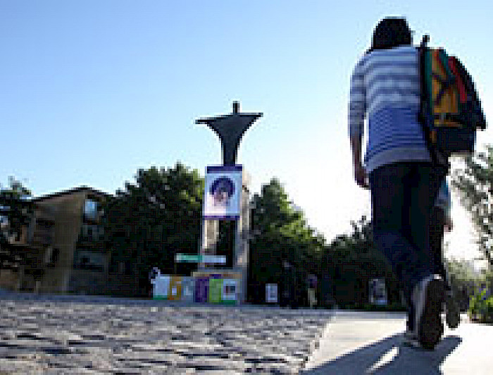 imagen correspondiente a la noticia: "Las contundentes cifras que deja el Programa Talento e Inclusión"