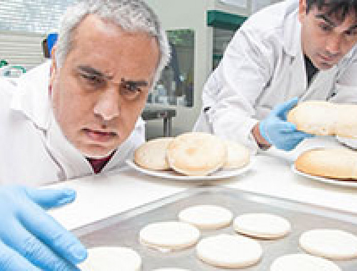 imagen correspondiente a la noticia: "Estudian cómo mitigar efectos nocivos de horneados en marraquetas y hallullas"