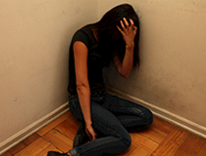 imagen correspondiente a la noticia: "Dictan nuevo diplomado en evaluación y técnicas de intervención en depresión"