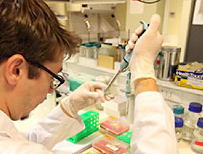 imagen correspondiente a la noticia: "UC adquiere plataforma internacional para capacitar en ética de investigación a comunidad universita"