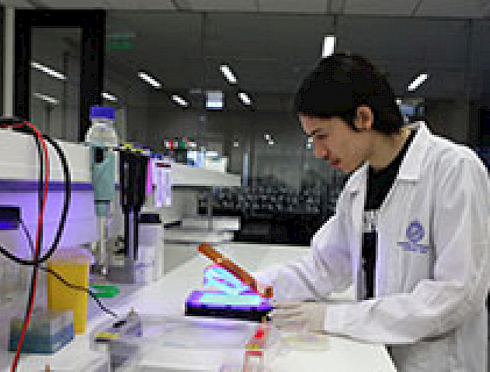 imagen correspondiente a la noticia: "Setenta proyectos científicos se adjudican Fondecyt de Postdoctorado 2016"