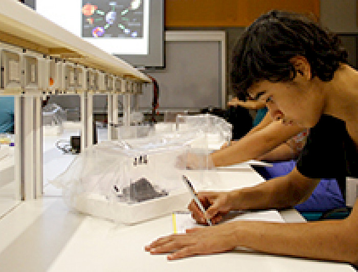 imagen correspondiente a la noticia: "Rector Ignacio Sánchez se refirió a los cambios propuestos al AFI"