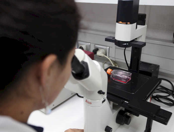 imagen correspondiente a la noticia: "Universidad se adjudica siete proyectos de equipamiento científico mediano"