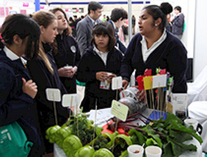 imagen correspondiente a la noticia: "Pequeños científicos se reúnen en la UC para el X Congreso Regional Escolar de Ciencia y Tecnología"
