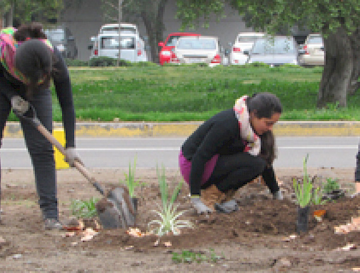 imagen correspondiente a la noticia: "Forestan parte de San Joaquín con más de 380 nuevos ejemplares"