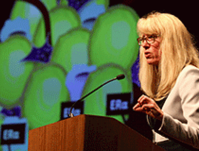 imagen correspondiente a la noticia: "Destacados científicos nacionales e internacionales se dan cita en cumbre de estudiantes de Bioquímica"