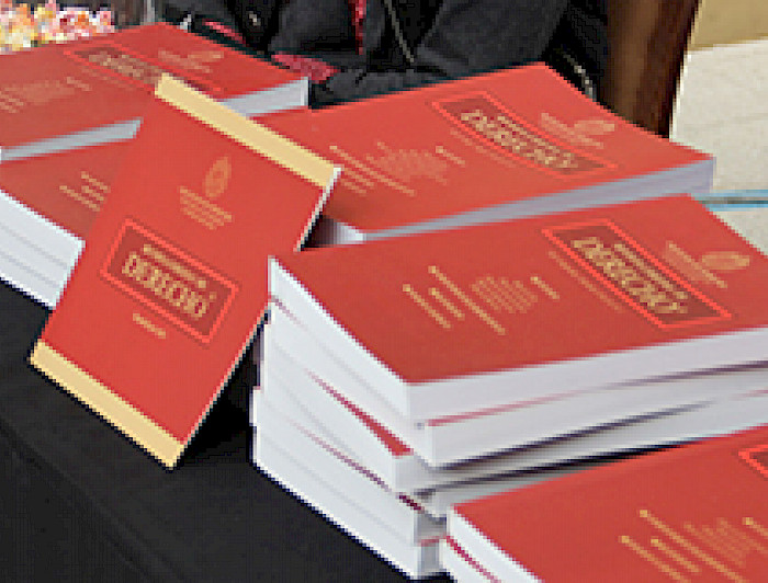 imagen correspondiente a la noticia: "Revista Chilena de Derecho ocupa posición 52 en ranking internacional"