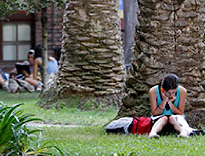 imagen correspondiente a la noticia: "Rector escribió una columna titulada “El sentido de la universidad”"