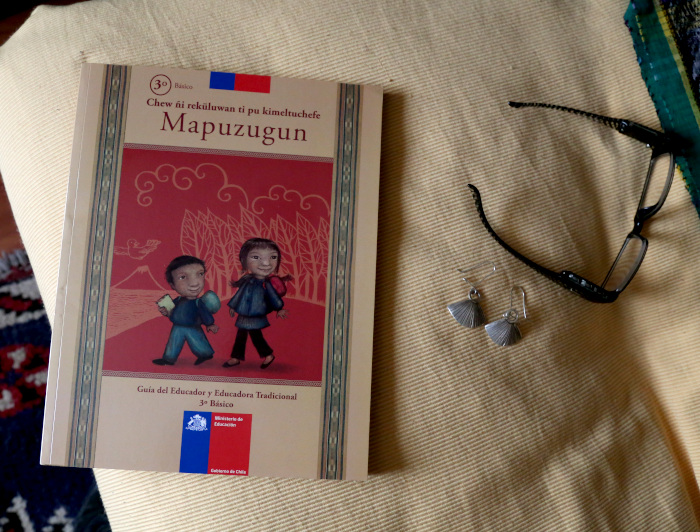 The right of all indigenous children to learn their language is proposed because it has been defined as a fundamental human right," says Elisa Loncon. In the picture: a book to teach Mapudungun to third graders.