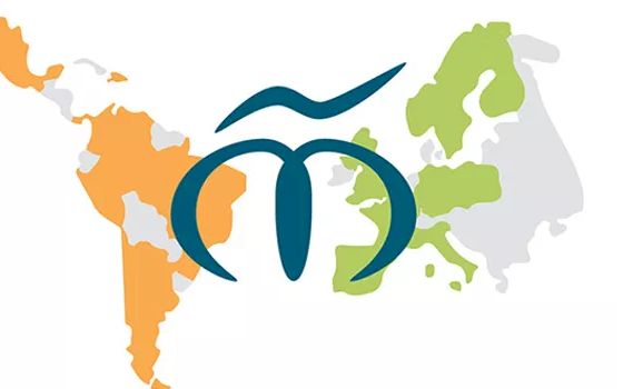 Magalhães Network Logo