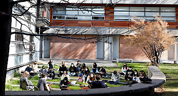 Grupo de alumnos y alumnas sentados en el pasto de la campus San Joaquín.