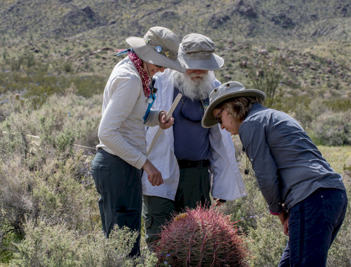 People observing a cactus.