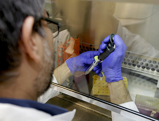 Científico con guantes azules manipulando instrumentos a través de un vidrio.