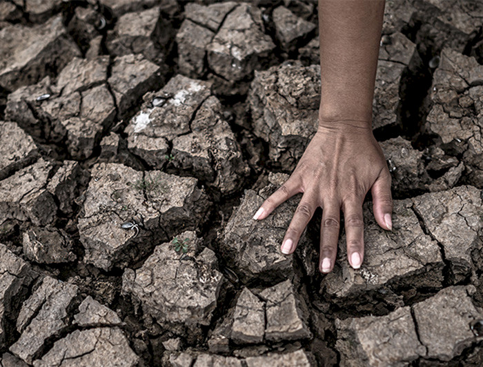 imagen correspondiente a la noticia: "Alianza SACRU prepara webinar sobre los grandes desafíos frente a la crisis climática"
