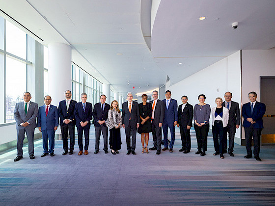 Fifteen members of the Hemispheric University Consortium are posing for the camera. Four of them are women.