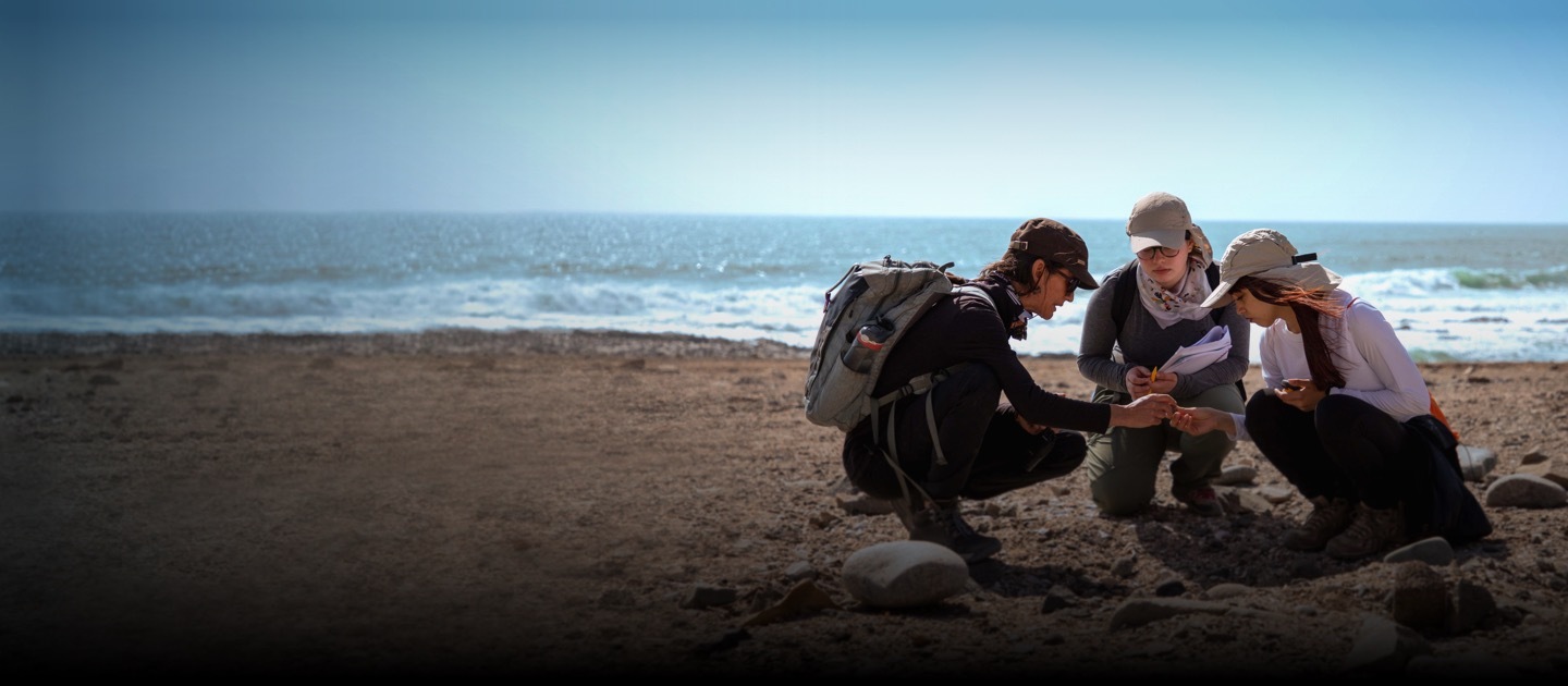 Una profesora y dos alumnas se encuentran analizando una muestra en la arena, con el mar de fondo.