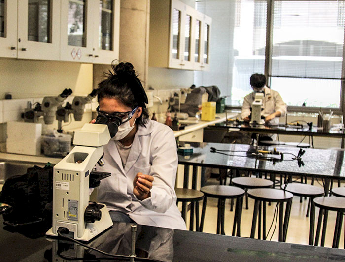 Estudiante en un laboratorio observa en un microscopio electrónico.