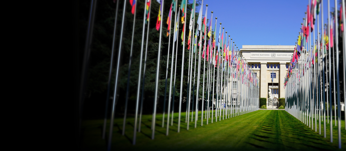 Camino de banderas y el edificio de la ONU al fondo.
