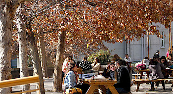 Estudiantes sentados en bancas en el patio, conversando con cuadernos sobre la mesa, bajo árboles otoñales.
