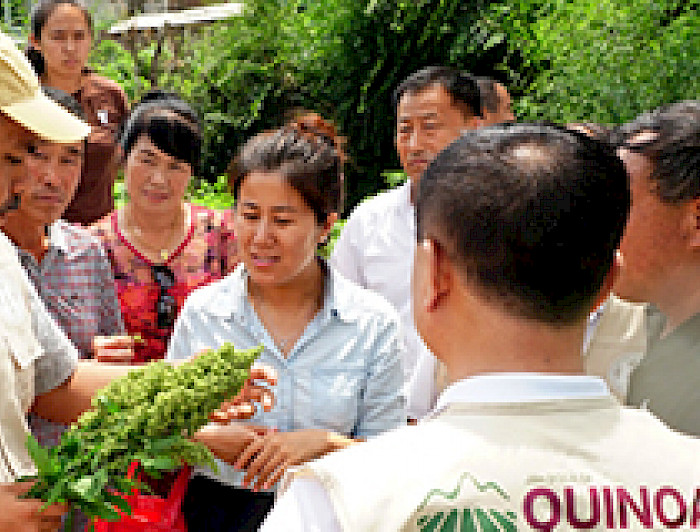 imagen correspondiente a la noticia: "Académico UC inicia investigación sobre la quinoa en China"